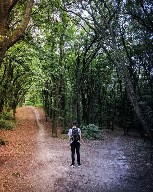crossroad_nature