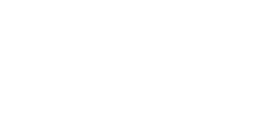Burns & Levinson LLP - Logo
