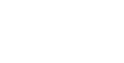Burns & Levinson LLP - Logo